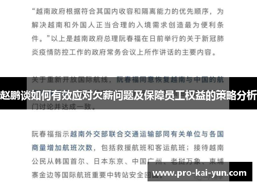 赵鹏谈如何有效应对欠薪问题及保障员工权益的策略分析