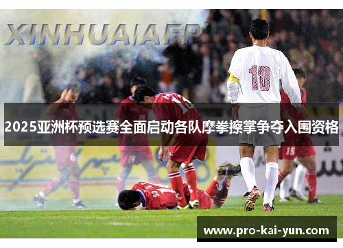 2025亚洲杯预选赛全面启动各队摩拳擦掌争夺入围资格 2025亚洲杯预选赛全面启动各队摩拳擦掌争夺入围资格