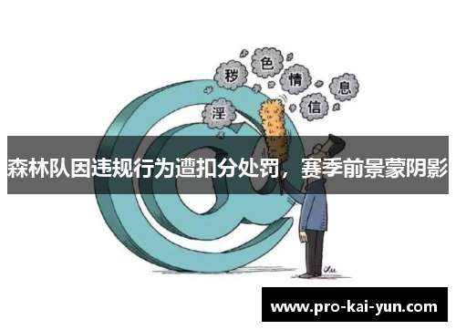 森林队因违规行为遭扣分处罚，赛季前景蒙阴影
